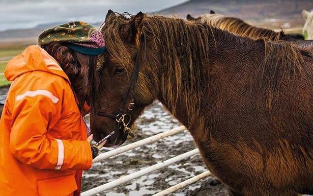 Лейла Алиева рассказала о путешествии в Исландию